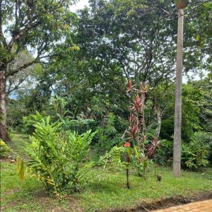 Captura de pantalla 2025-09-29 100352