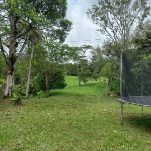 Captura de pantalla 2025-09-29 100438