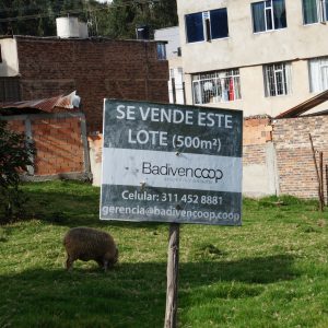 DSC00665