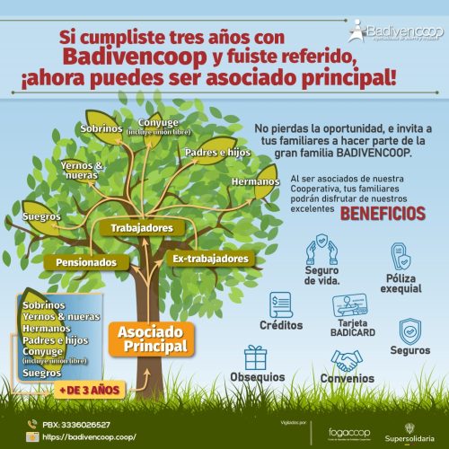 arbol_asociados_2026_1080